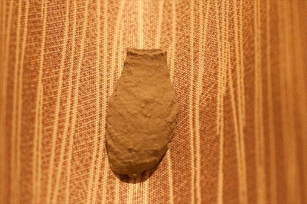 Digger wasp nest (<i>Sceliphron destillatorium</i>)