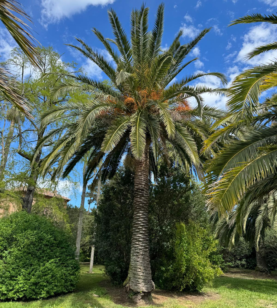 Château de la Moutte